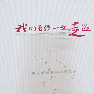 青島經(jīng)信委紀(jì)念冊(cè)