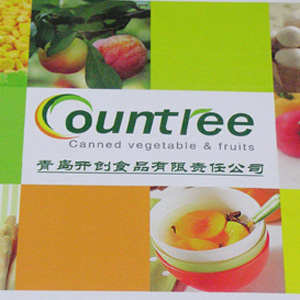 青島開創(chuàng)食品